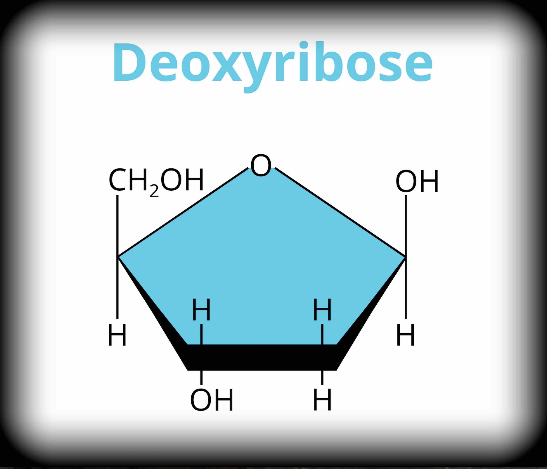 2dDR Molecule For Hair Growth