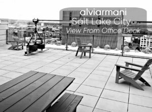 AlviArmani Salt Lake View From Deck