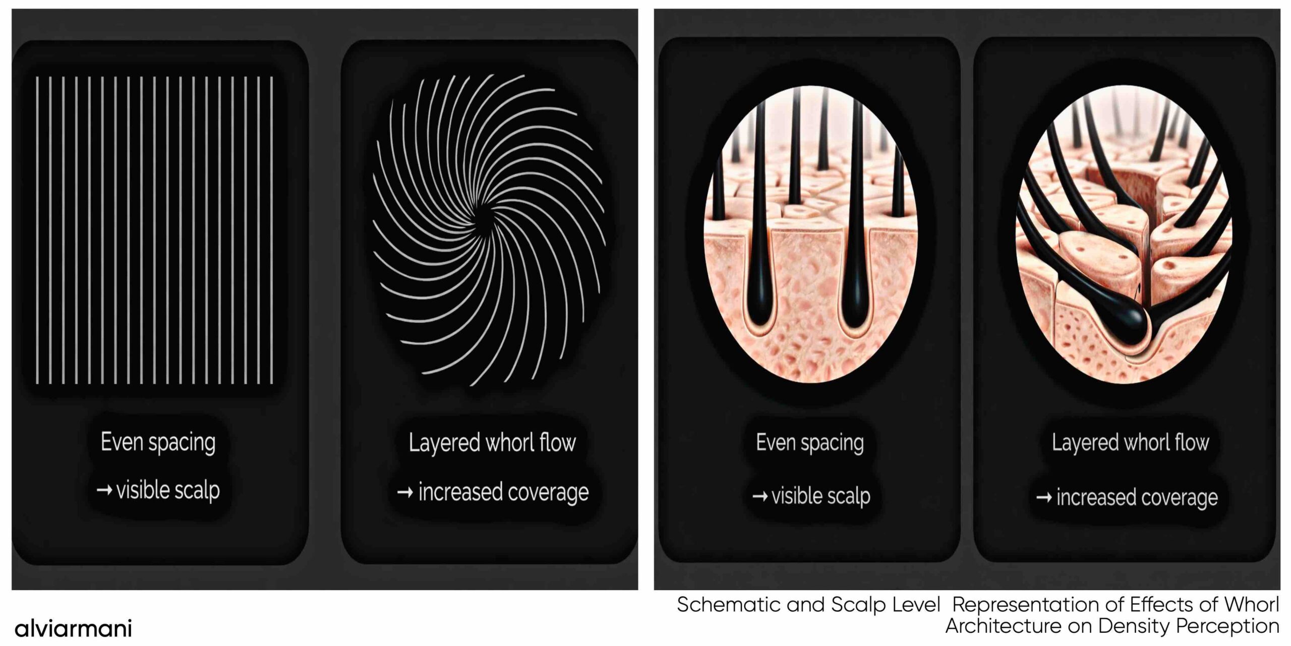 Conceptual comparison of straight-pattern spacing versus layered whorl flow showing how whorl organization increases perceived coverage.
